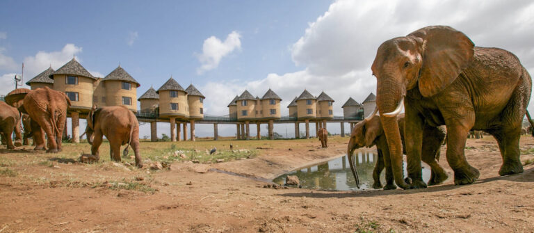 2 Days Tsavo East And Saltlick