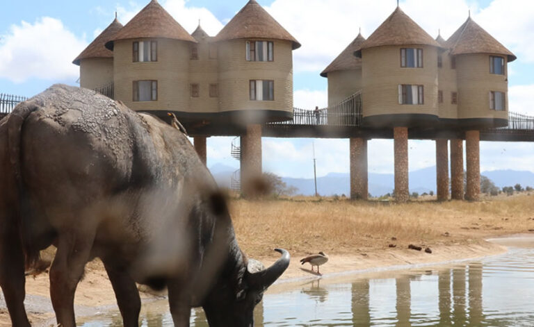 2 Days Tsavo East And Saltlick_3