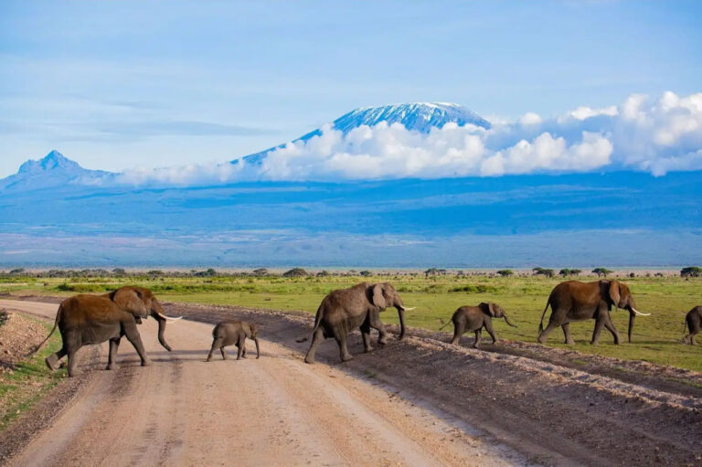 5 Days Amboseli, Tsavo West And Tsavo East