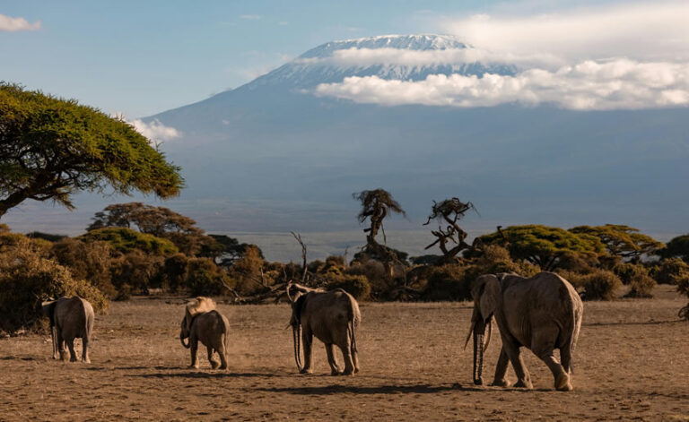 5 Days Amboseli, Tsavo West, Tsavo East National Park and Mombasa3